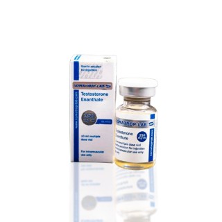 Testosterone Enanthate 250 mg Somatrop-Lab